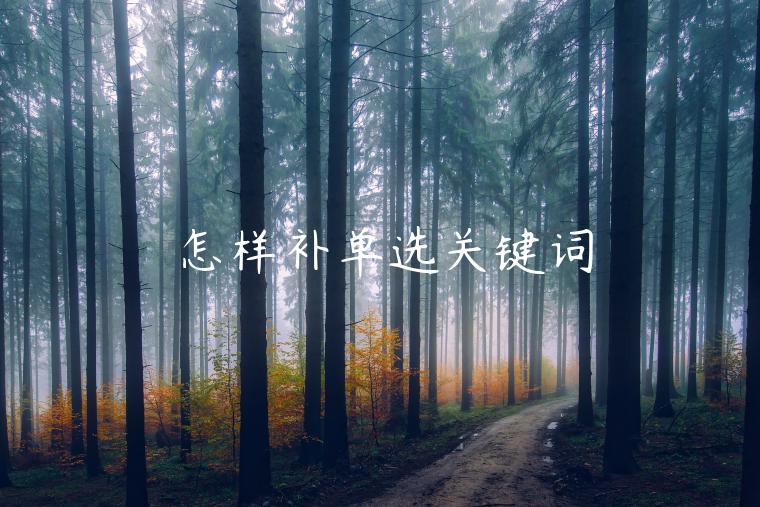 怎樣補單選關(guān)鍵詞